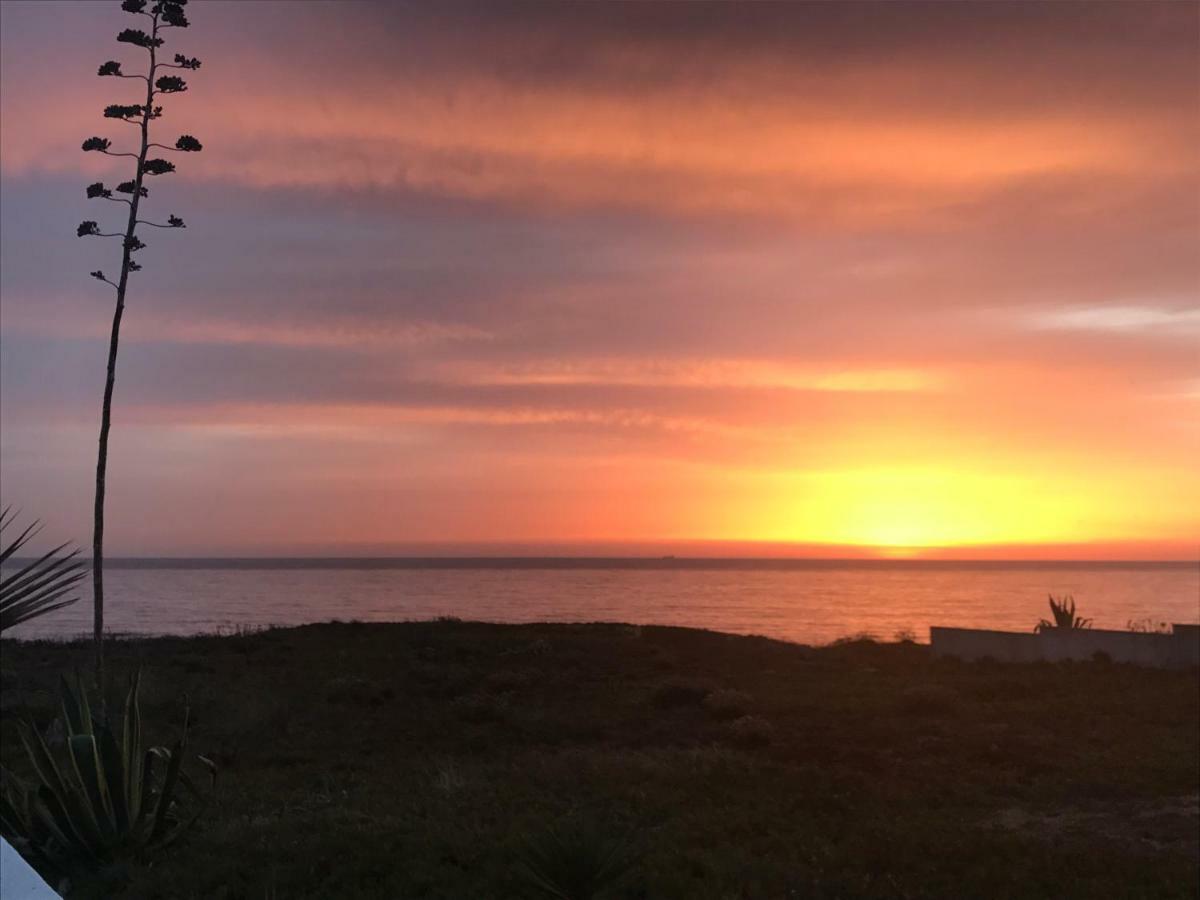 Vila Mar بورتو كوفو المظهر الخارجي الصورة